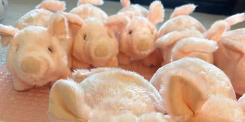 Pig Race Night \ud83d\udc37\ud83c\udfc1