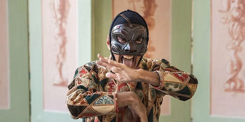 Arlecchino Svelato