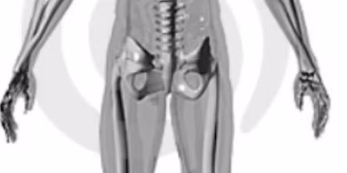 PNMT for the Low Back