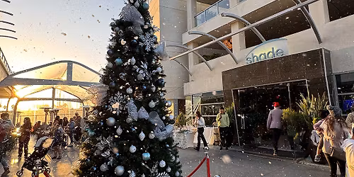 Annual Christmas Tree Lighting