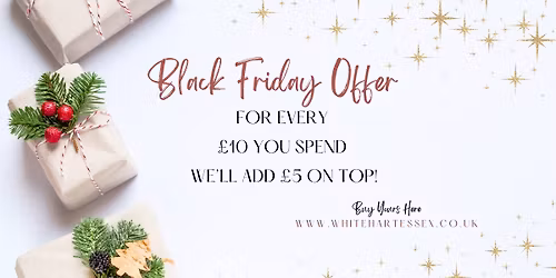 Black Friday offer!