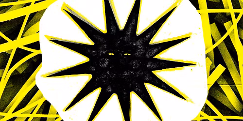 ZON ZON ZON - Book launch