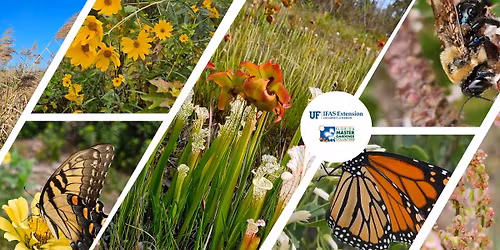 Next Level Gardening for Santa Rosa County