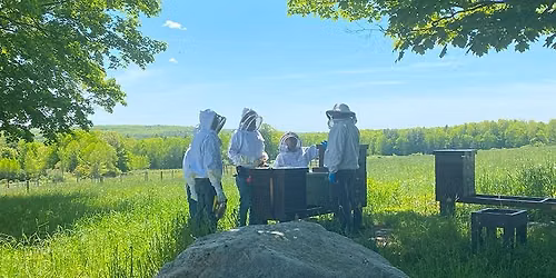 Beekeeping Intro: The Honey Bee Experience