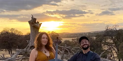 Not Loud Concerts presents Dirty Cello at Art Freak in Fremont