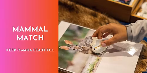 Mammal Match