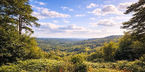 HIKE 17km Heathlands, ancient woods, panoramic views and the Devils Punchbowl