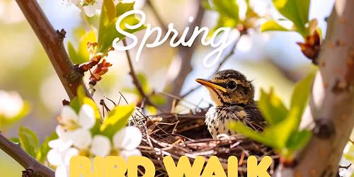 Nature Workshop: \u201cSpring Bird Walk\u201d with Martha Kane
