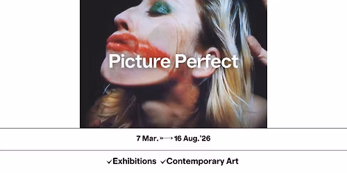 Picture Perfect