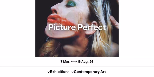 Picture Perfect