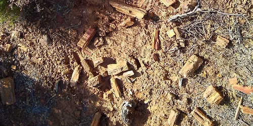 Black Friday Utah Fossil Hunt!