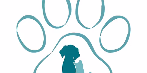 Kitten Adoption Event \ud83d\udc31