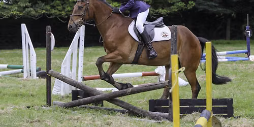 Marden Village Horse and Dog Show 2026