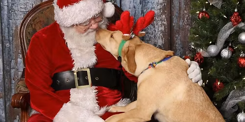 Northeast Arkansas Humane Society Holiday Pet Photos