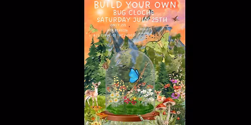 Build your own bug cloche \ud83e\udeb2