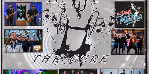 13th annual Music Is The Cure, Inc charity event