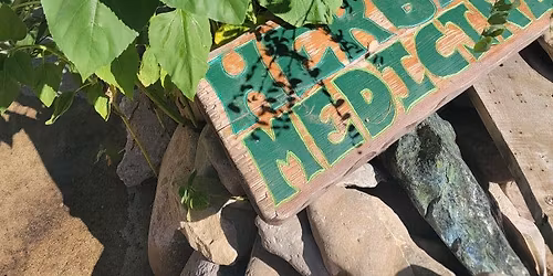 Build your Herbal Wisdom