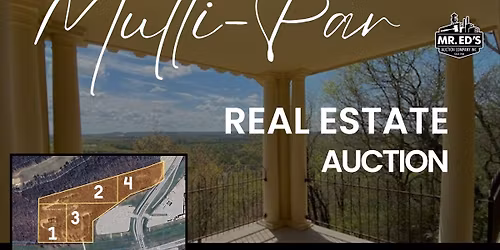 Multi Par Real Estate Auction 
