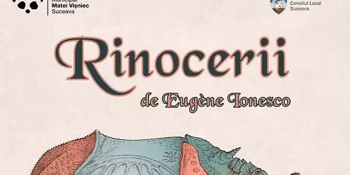Rinocerii