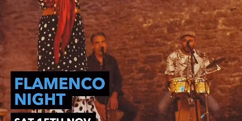 Flamenco Night
