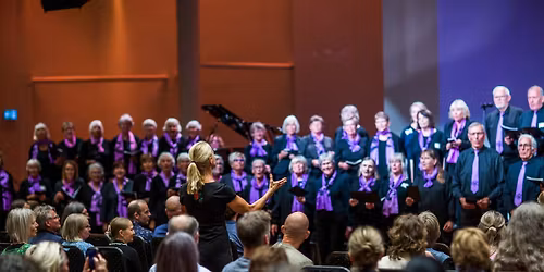 Korsangerboka: Lansering Kristiansand