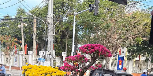Tết 2026
