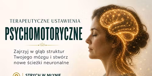Ustawienia psychomotoryczne: Zajrzyj w g\u0142\u0105b struktur Twojego m\u00f3zgu i stw\u00f3rz nowe \u015bcie\u017cki neuronalne