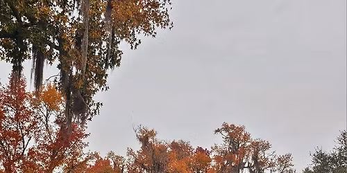 Guided Grounds & Outbuildings Tour