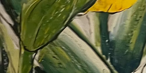 Bonbons Cochons & Macarons de Margotton