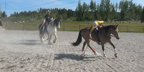 Polocrosse-leiri vol 2 goes Woodland Horse Trail