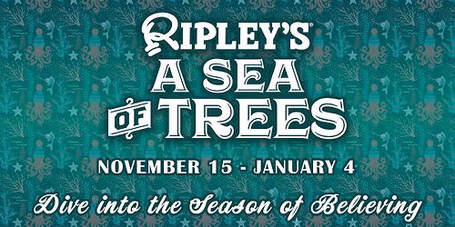 A Sea of Trees at Ripley's Aquarium of the Smokies