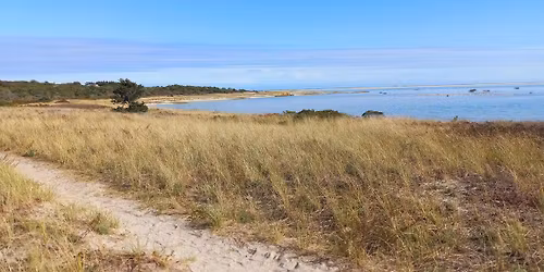 Winter Solstice Walk: Morris Island with Fi Lowry