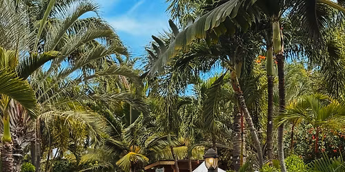 Weekly Artisan Market