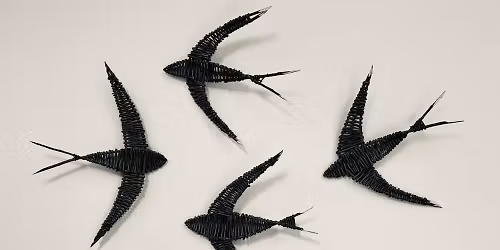 Willow Swifts Masterclas