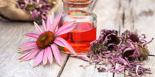 Syracuse Herbal SG Community Care Series: Cold\/Flu Remedies