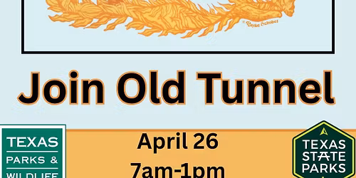 Great Texas Birding Classic: Old Tunnel State Park