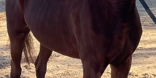 Dirty Jeans Spring Event @ Tractor supply 