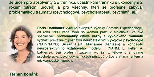 Pr\u00e1ce s komplexn\u00edm (C-PTSD) a ran\u00fdm vztahov\u00fdm traumatem