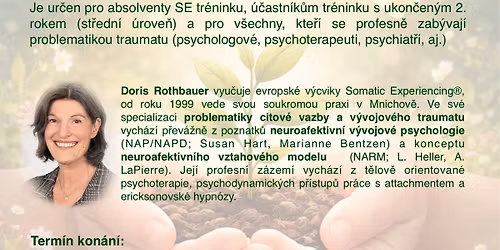 Pr\u00e1ce s komplexn\u00edm (C-PTSD) a ran\u00fdm vztahov\u00fdm traumatem