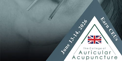 Auricular Acupuncture 2-Day Seminar (Continuing Education Course)