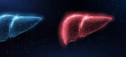 Our Chemical World: Detoxing your Body in a Toxic Environment