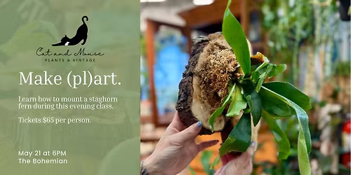 Staghorn Fern Mounting Class - Make your own (pl)art!