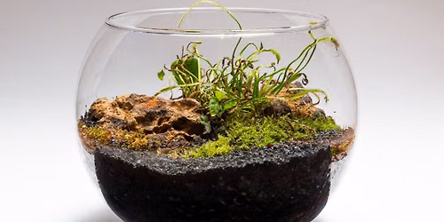 Carnivorous Terrarium Workshop