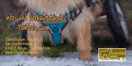 Sommerfest des Tierrefugium Hanau