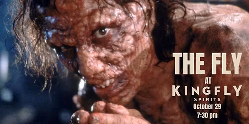 THE FLY at Kingfly!