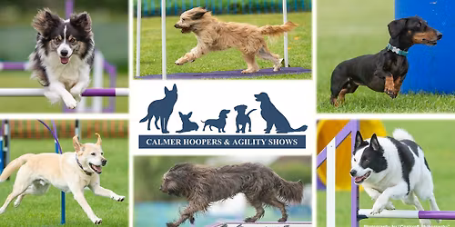 Calmer Independent Hoopers & Agility Show (1 day)