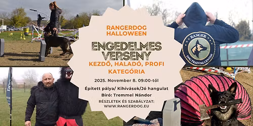 Halloween engedelmes verseny