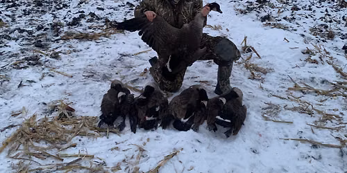 Honkers and Hospitality Nov. 19-22
