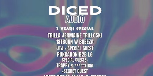 2 YEARS OF DICED AUDIO