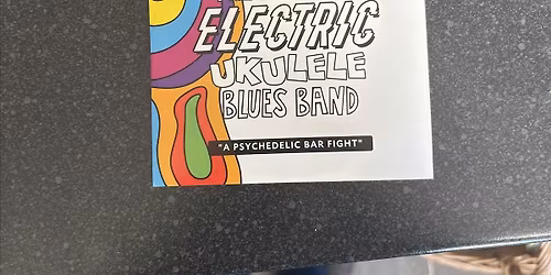 The Eclectic Electric Ukulele Blues Band